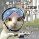 Happy_685083