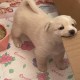 Happy_686526