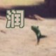 Happy_695549
