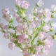 Happy_701854