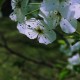 Happy_720749