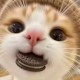 Happy_764212