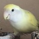 Happy_770642