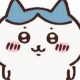Happy_779050