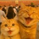 Happy_780084