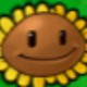 Happy_788843