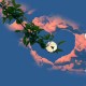 Happy_789813