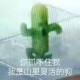 爆炸的小毛球