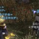 科米蛙