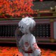 亓心