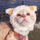 Happy_25611