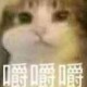 Happy_32035