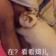 kikikicz