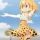 Serval_Cat