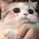 Happy_57497
