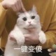Happy_57689