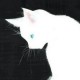 WHITE_CAT