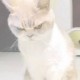 Happy_128329