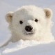 Happy_131557