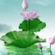 Happy_137896
