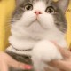 Happy_142958