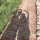 Happy_163048