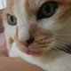 Happy_163803