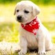 Happy_165803