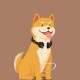 忠犬太一狼
