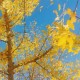 Happy_210655