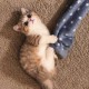 Happy_214525