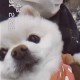 Happy_257151