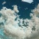 冬息夏盹