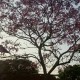 Happy_262266