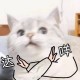 Happy_273427