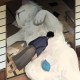 Happy_319776
