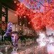 Happy_330725