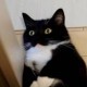 口袋袋