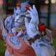 Happy_357528
