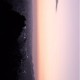 Happy_387272