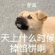 祈祷馅饼