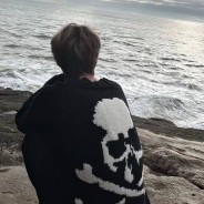 浅忆意微凉