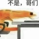 白嫖怪