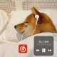 Happy_438503