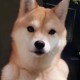 Happy_450349