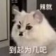 Happy_463141