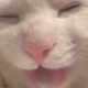Happy_470725