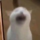不及雨