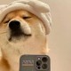 Happy_494920