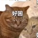 Happy_502898